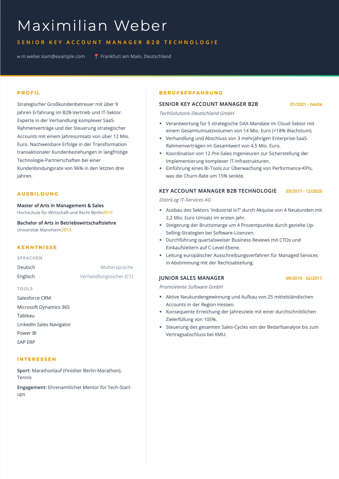 Lebenslauf Key Account Manager B2B Technologie