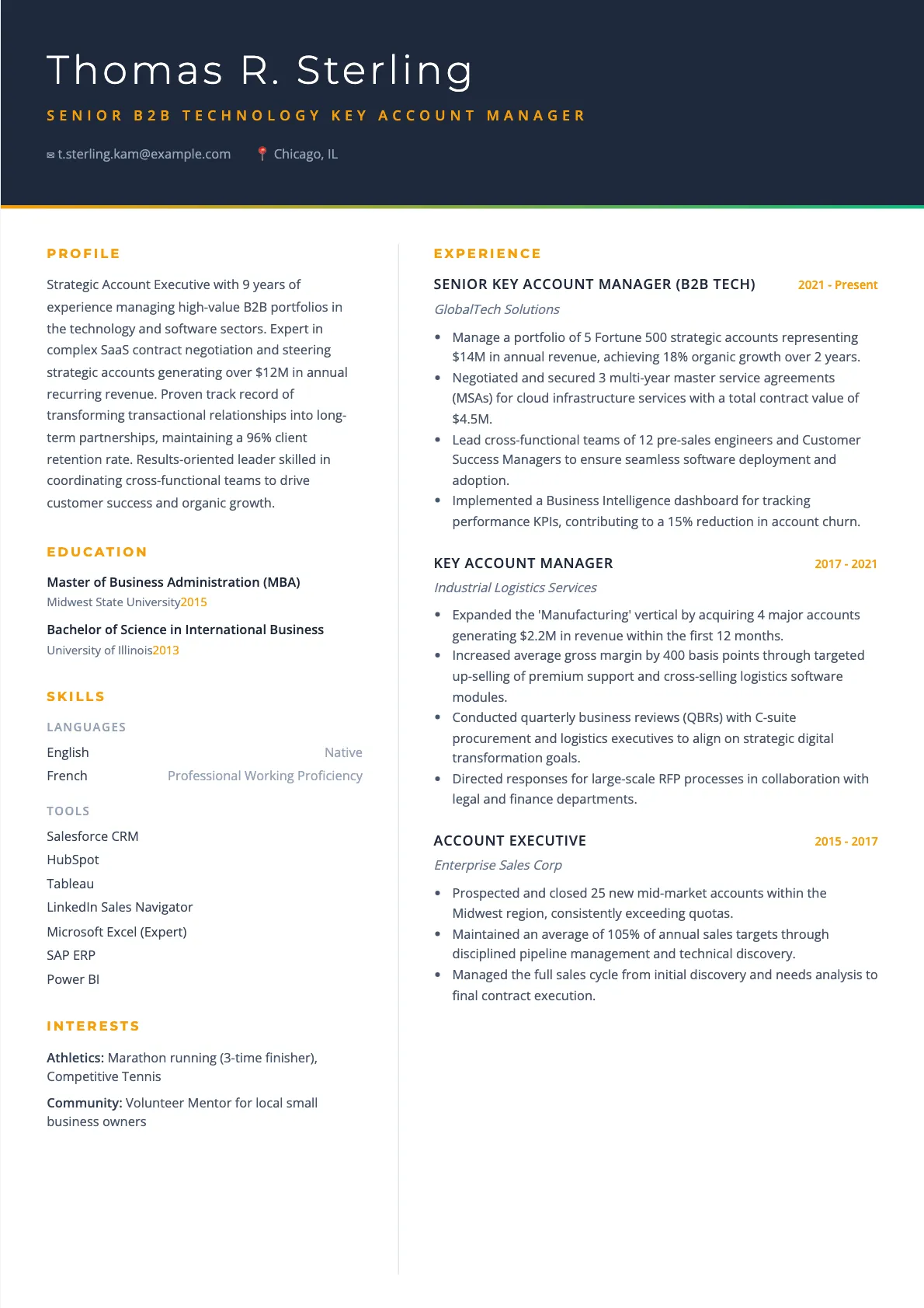 Senior B2B Technology Key Account Manager Resume Example